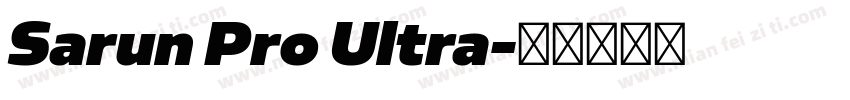 Sarun Pro Ultra字体转换